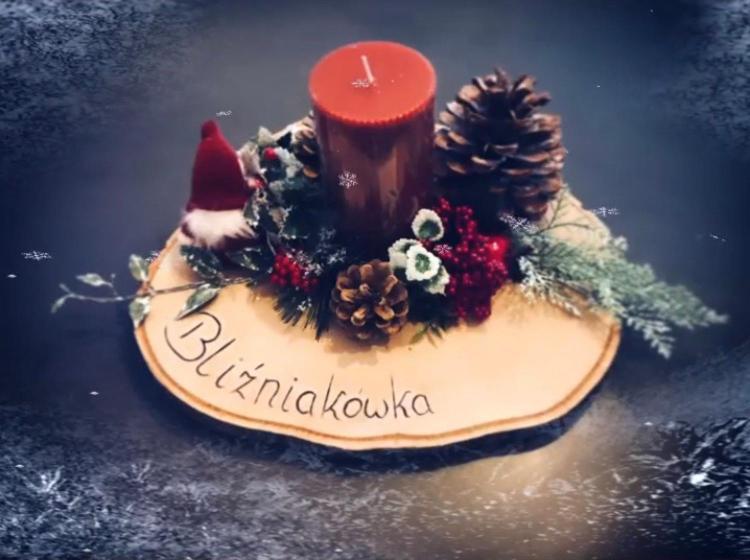 Вилла Blizniakowka Бренна Экстерьер фото